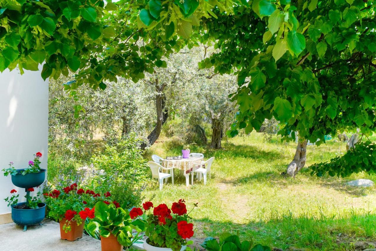 Elia Villa Thassos Prínos Extérieur photo